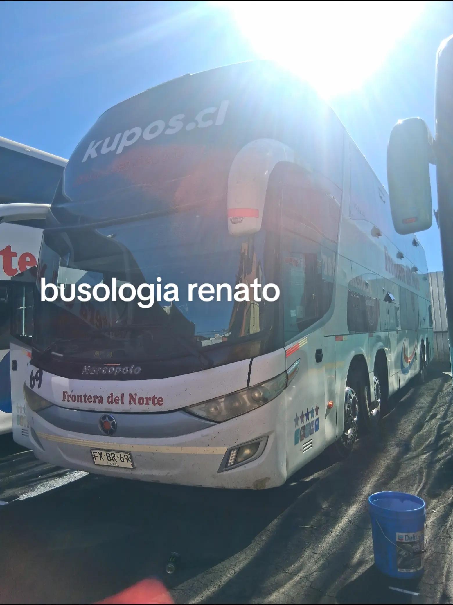 @Busología renato 😎