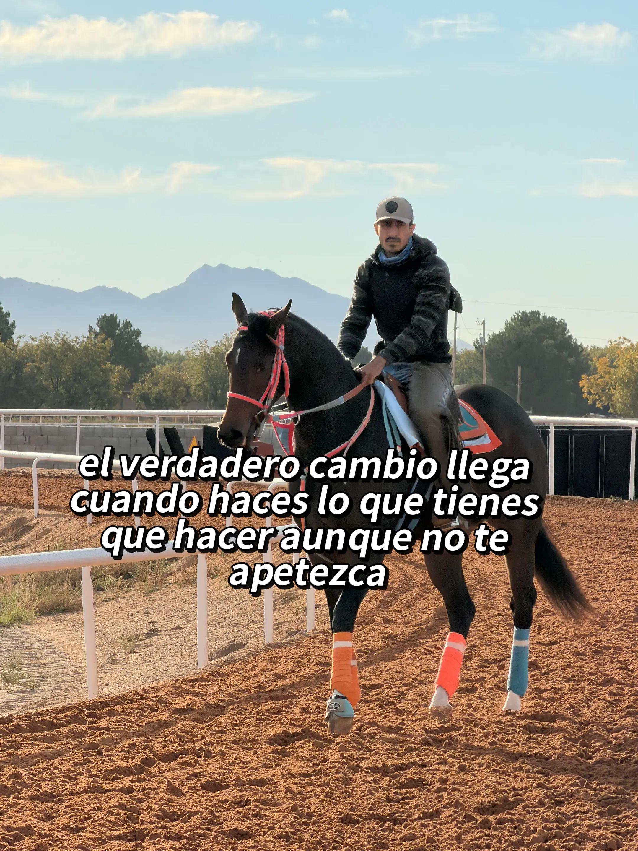 @Armando Castro Yañez