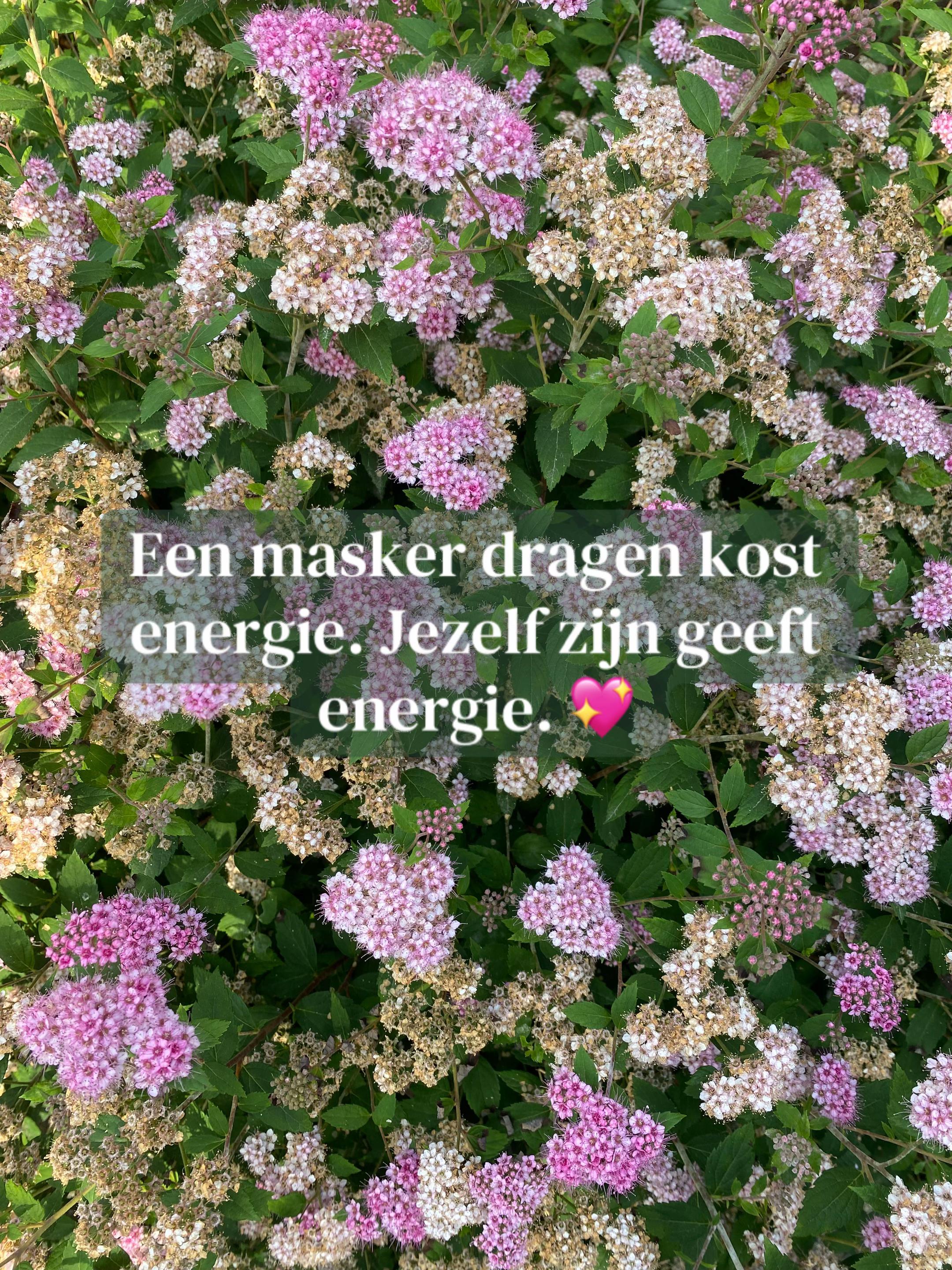 @Marloes.