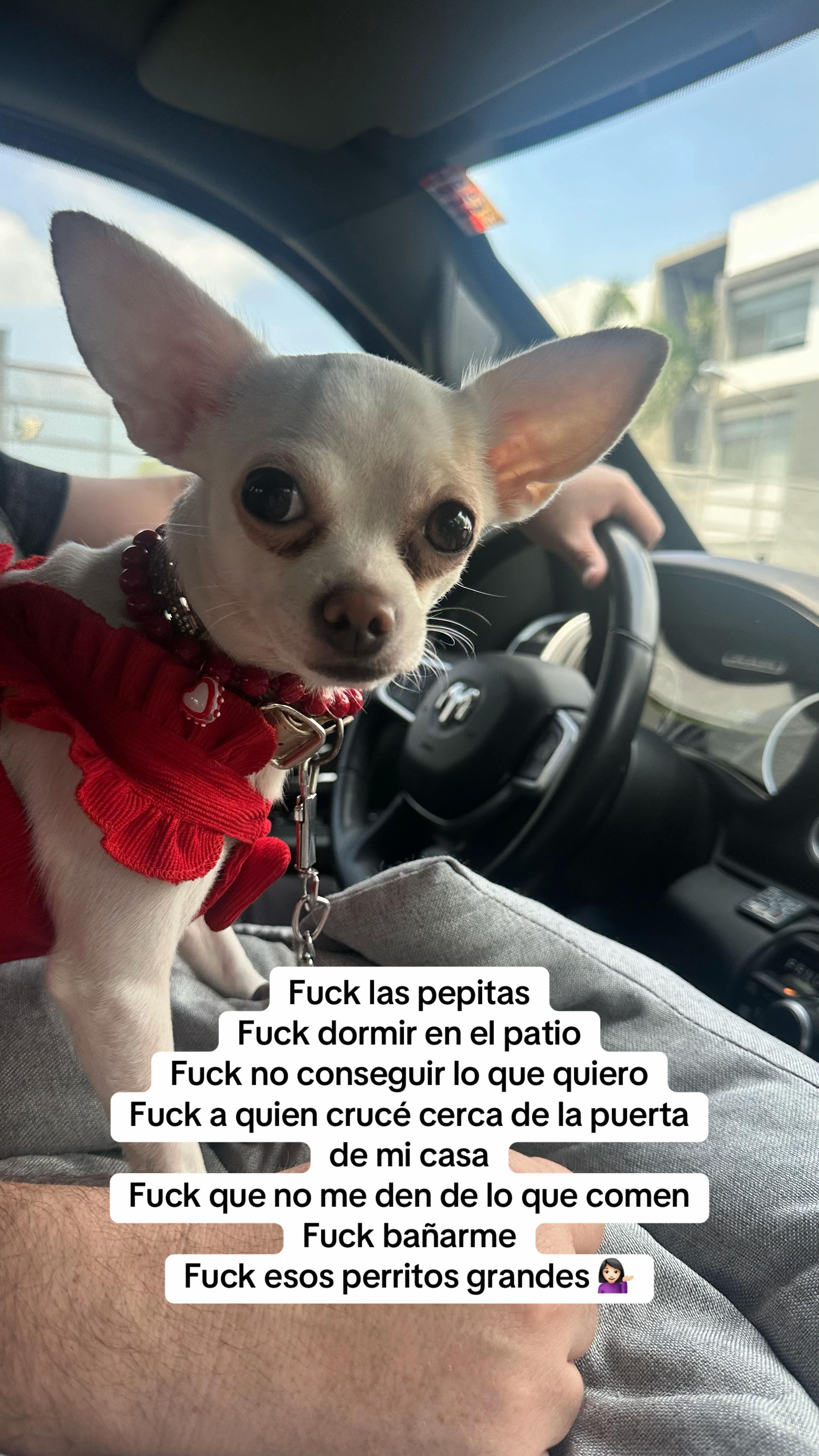 @Maite Andrade