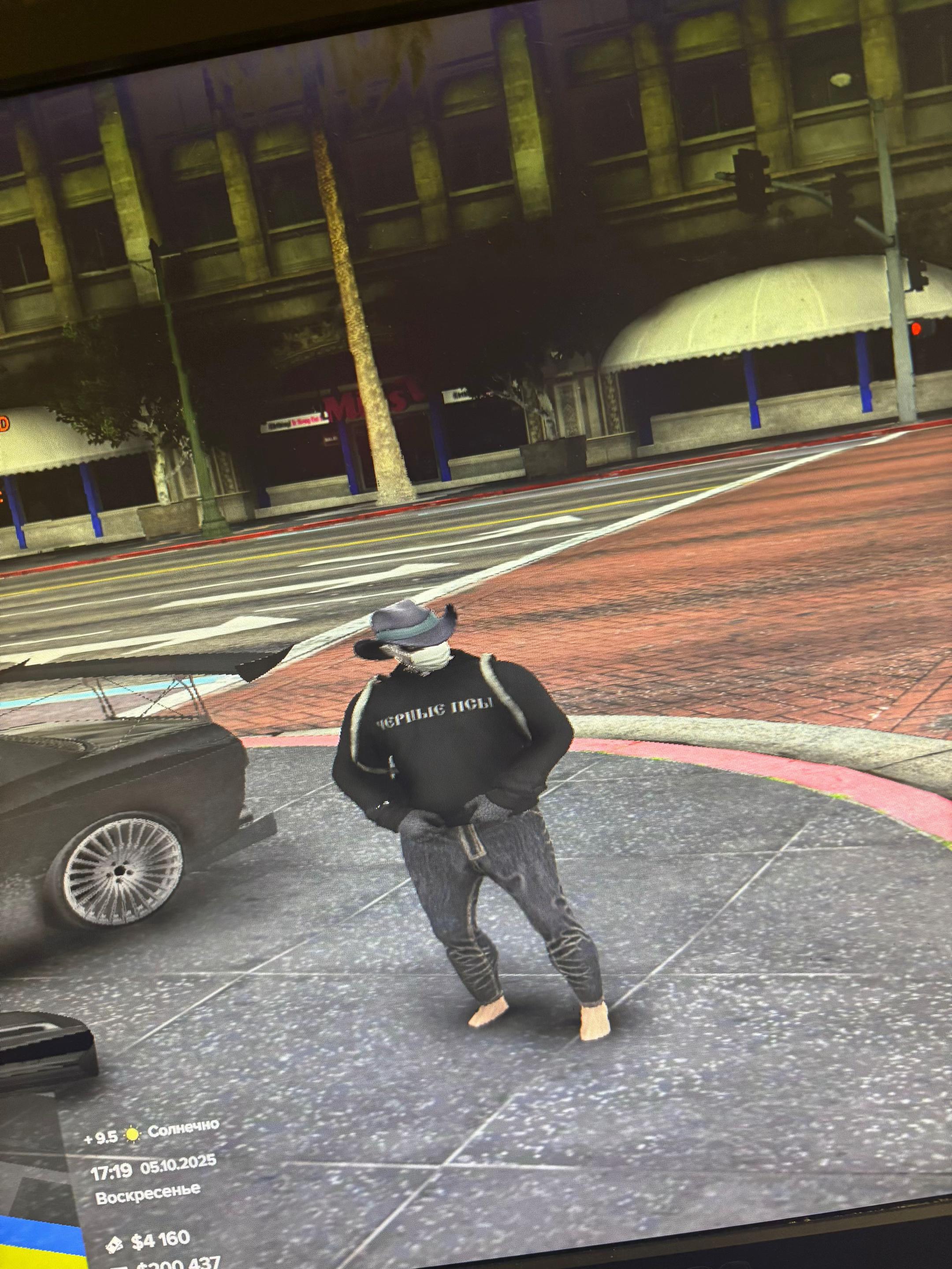 @I love gta V and Zlo1_rabbit