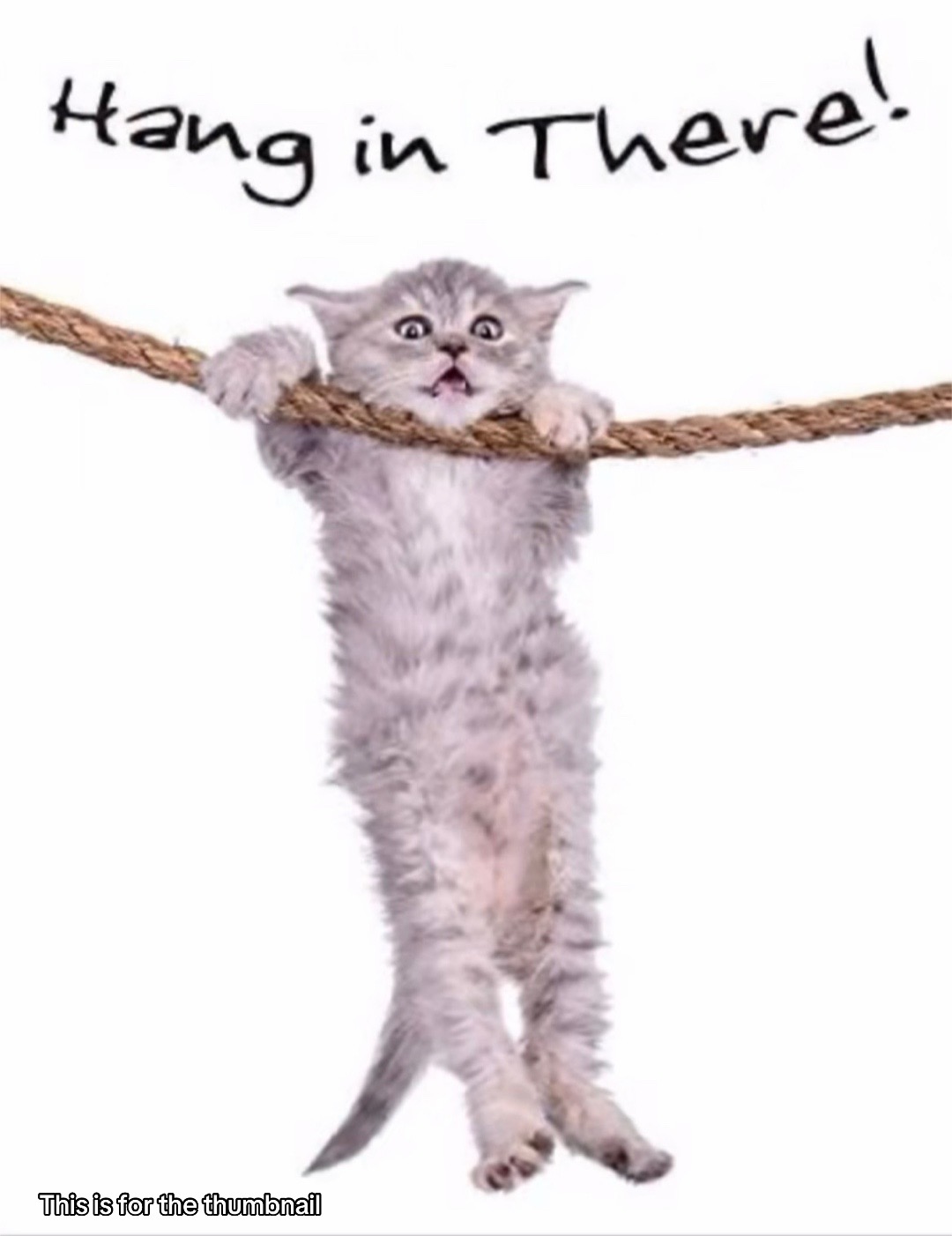@โ
๐ซ๐๐ ๐๐๐ฑโ