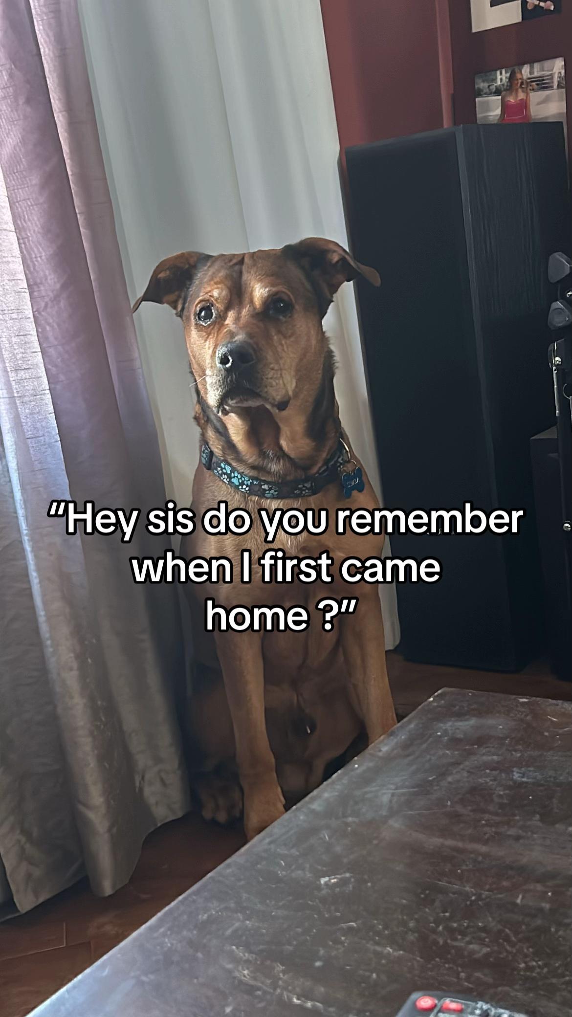 @M.