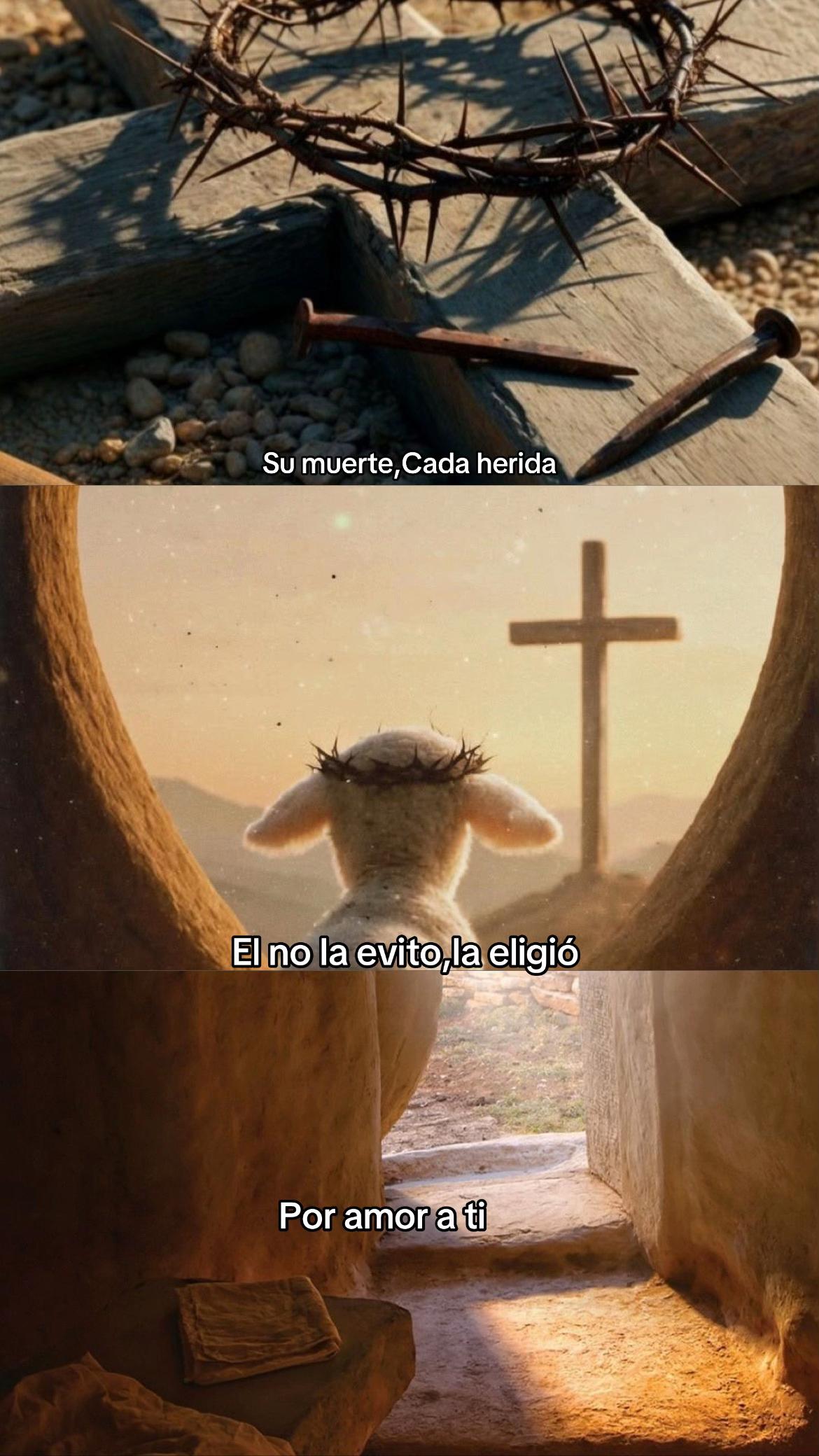 @Contenido cristiano 🤍✝️