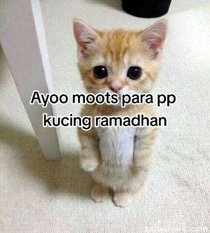 @xyxrenn23