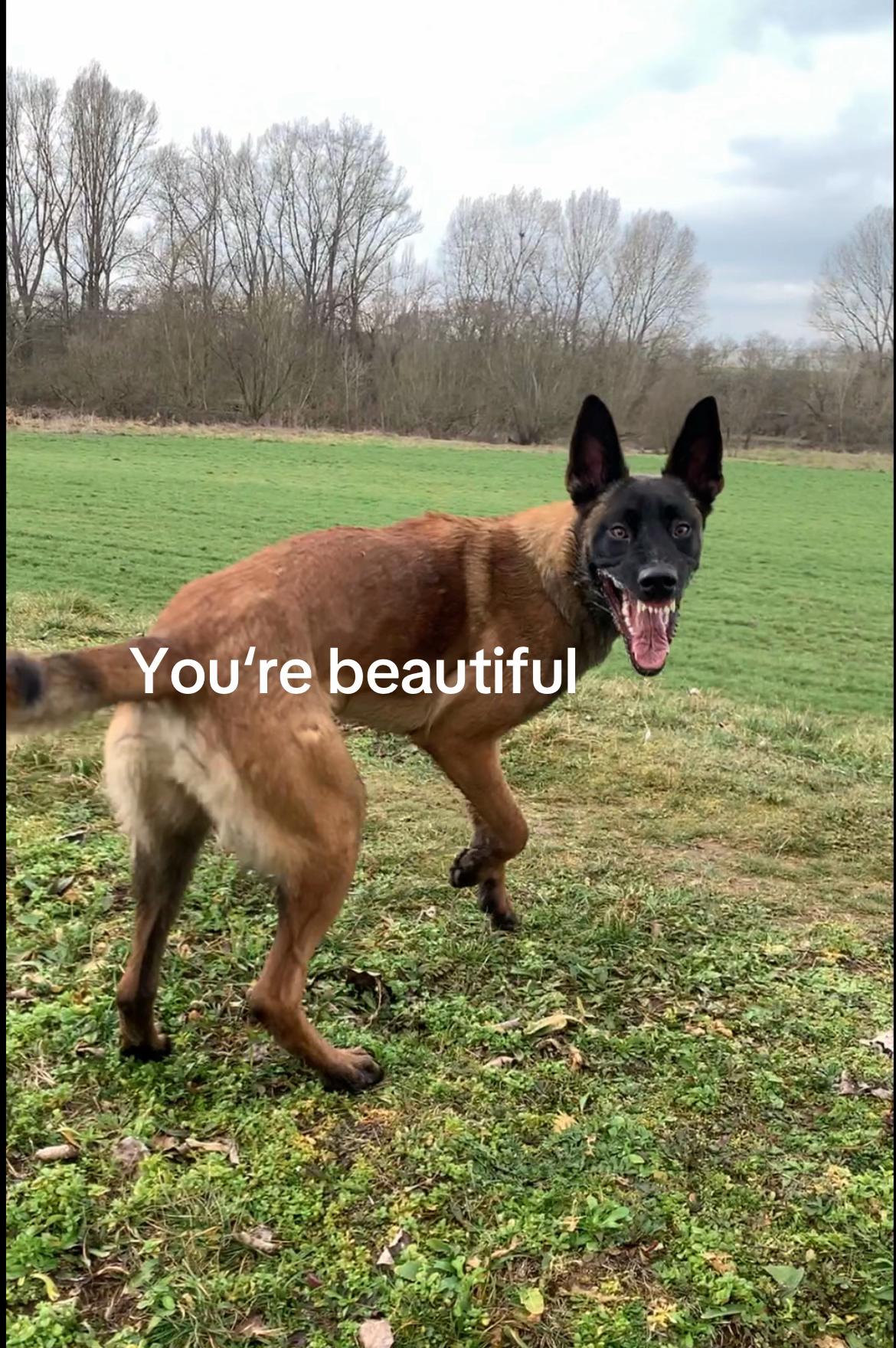 @Angie Herzog