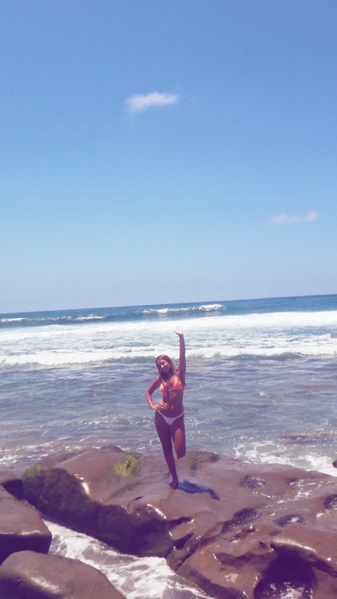 @makeli 🌞🦈