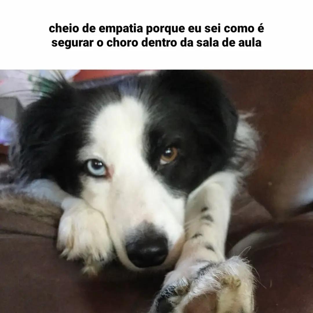 @levy sem i