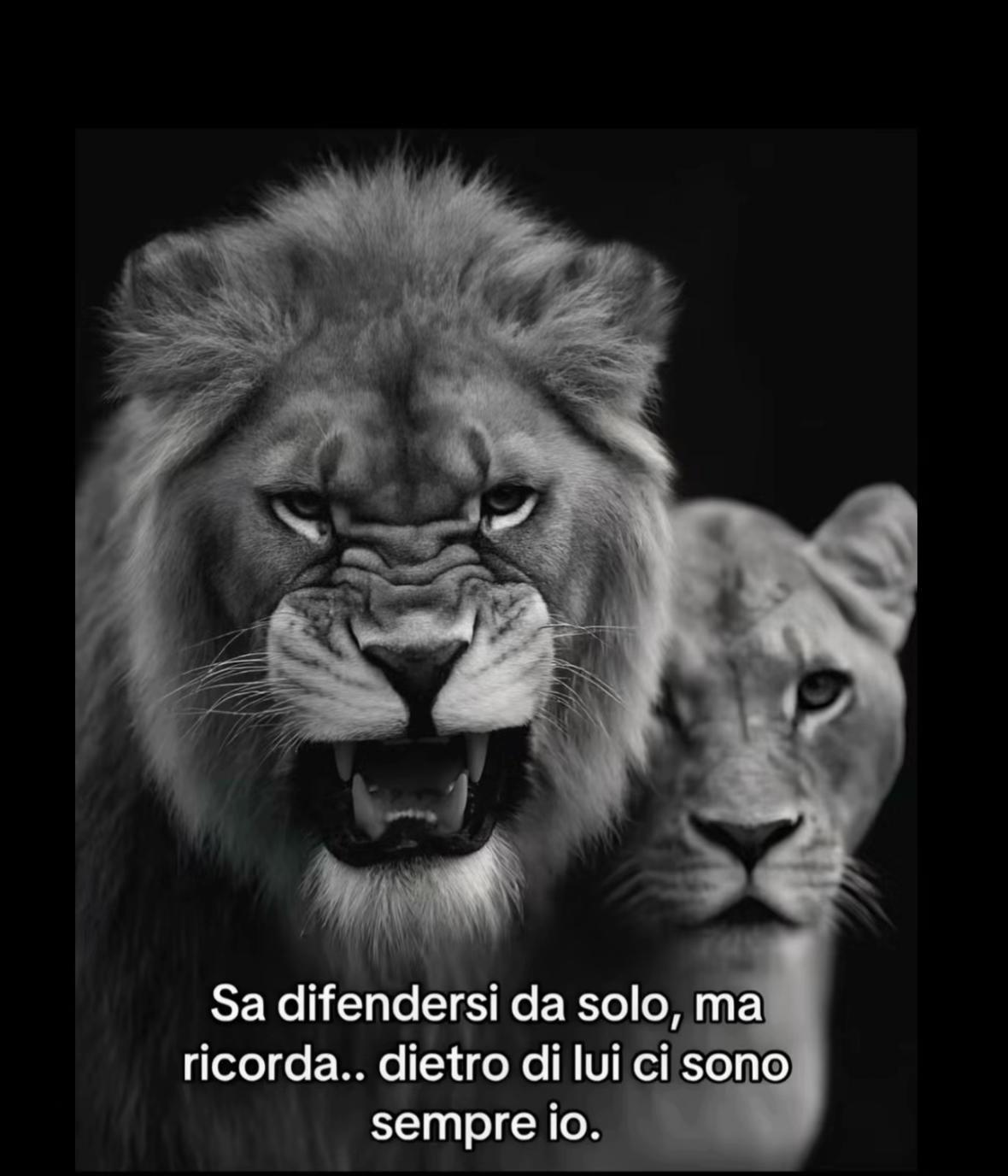 @✨Vale e Fede✨