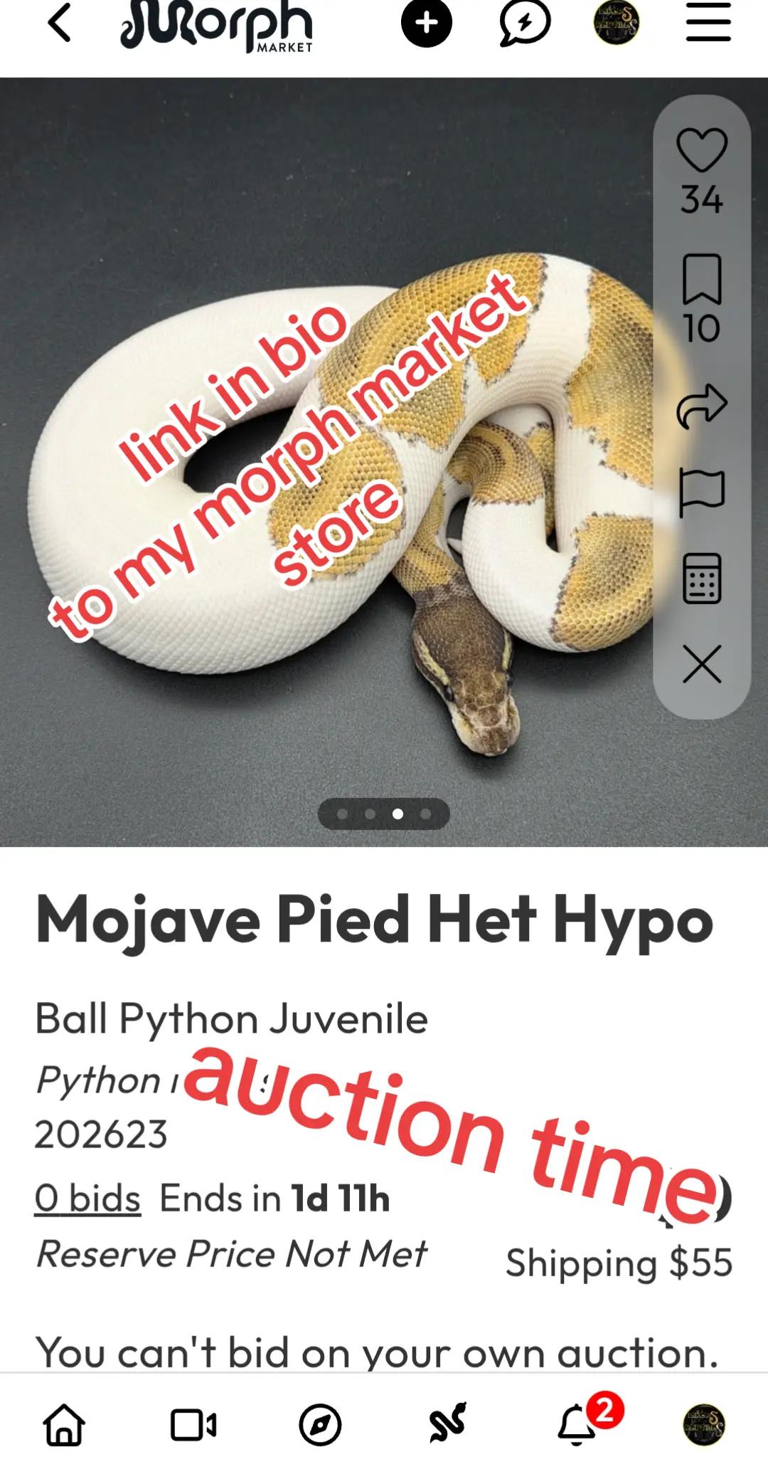 @Rikers Reptiles