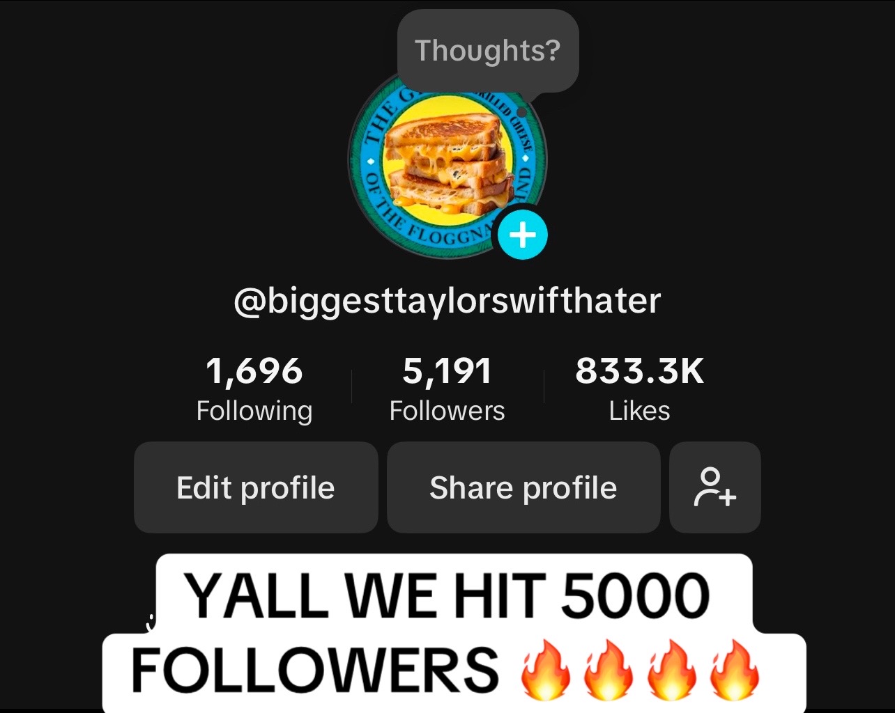 @BiggestTaylorSwiftHater