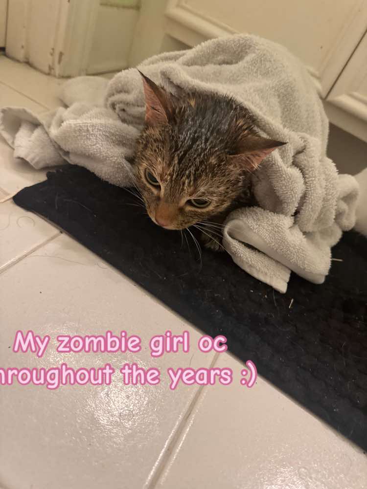 @Hi(๑´·.̫ · `๑)
