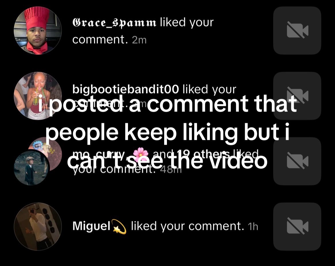 @seewhy