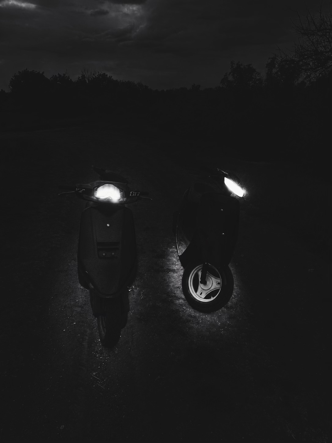 @Tactovod⚡️
