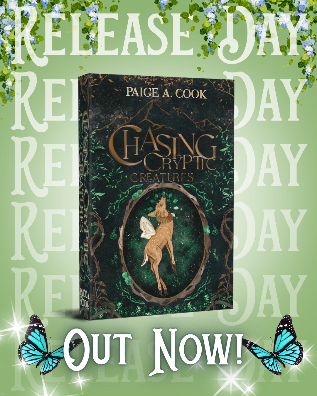 @Author Paige A. Cook