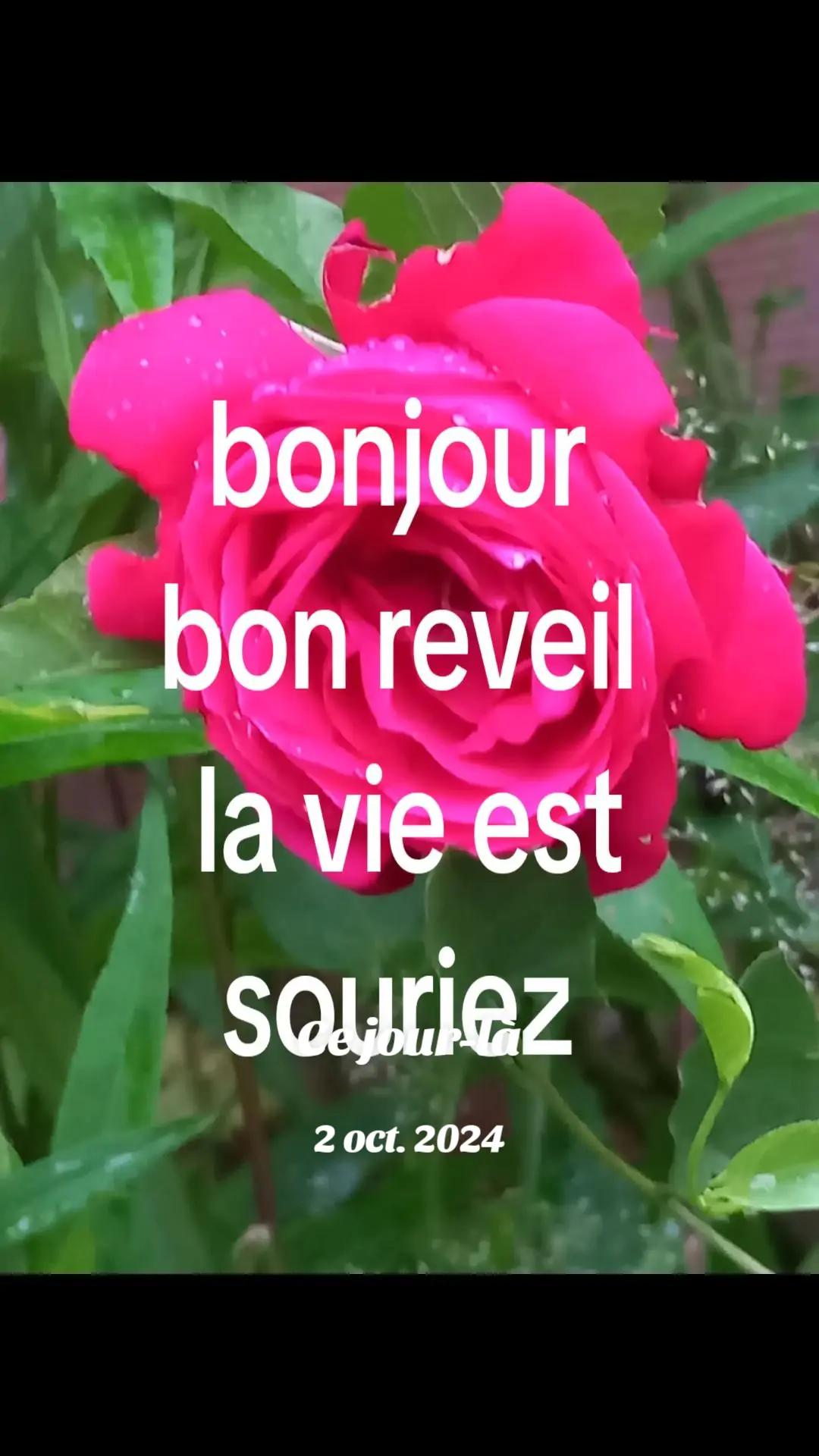 @amarjff