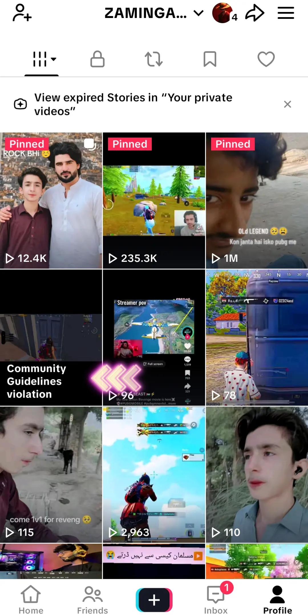 @ZAMINGAMING