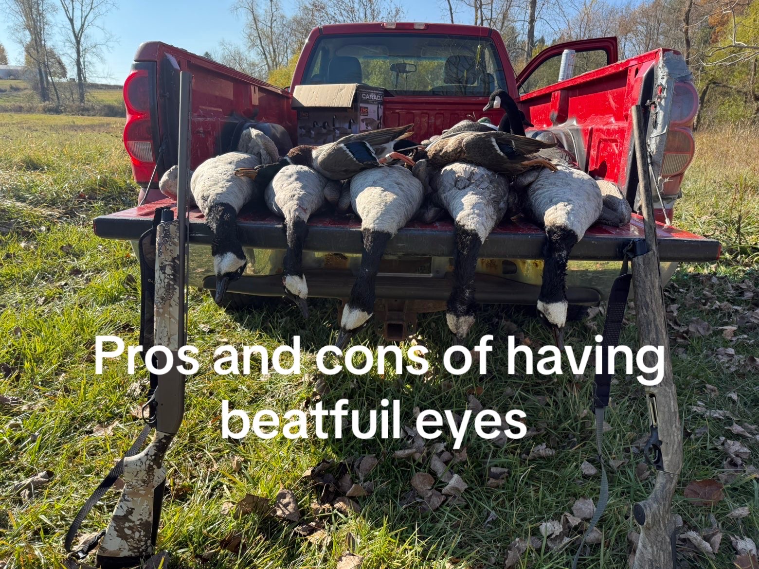 @KB 🦆🦌