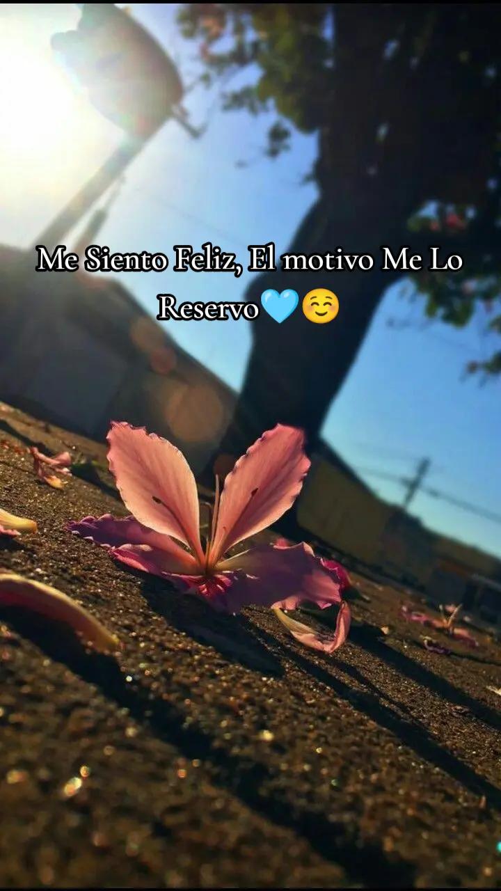 @Danii Ortiz✨🩵