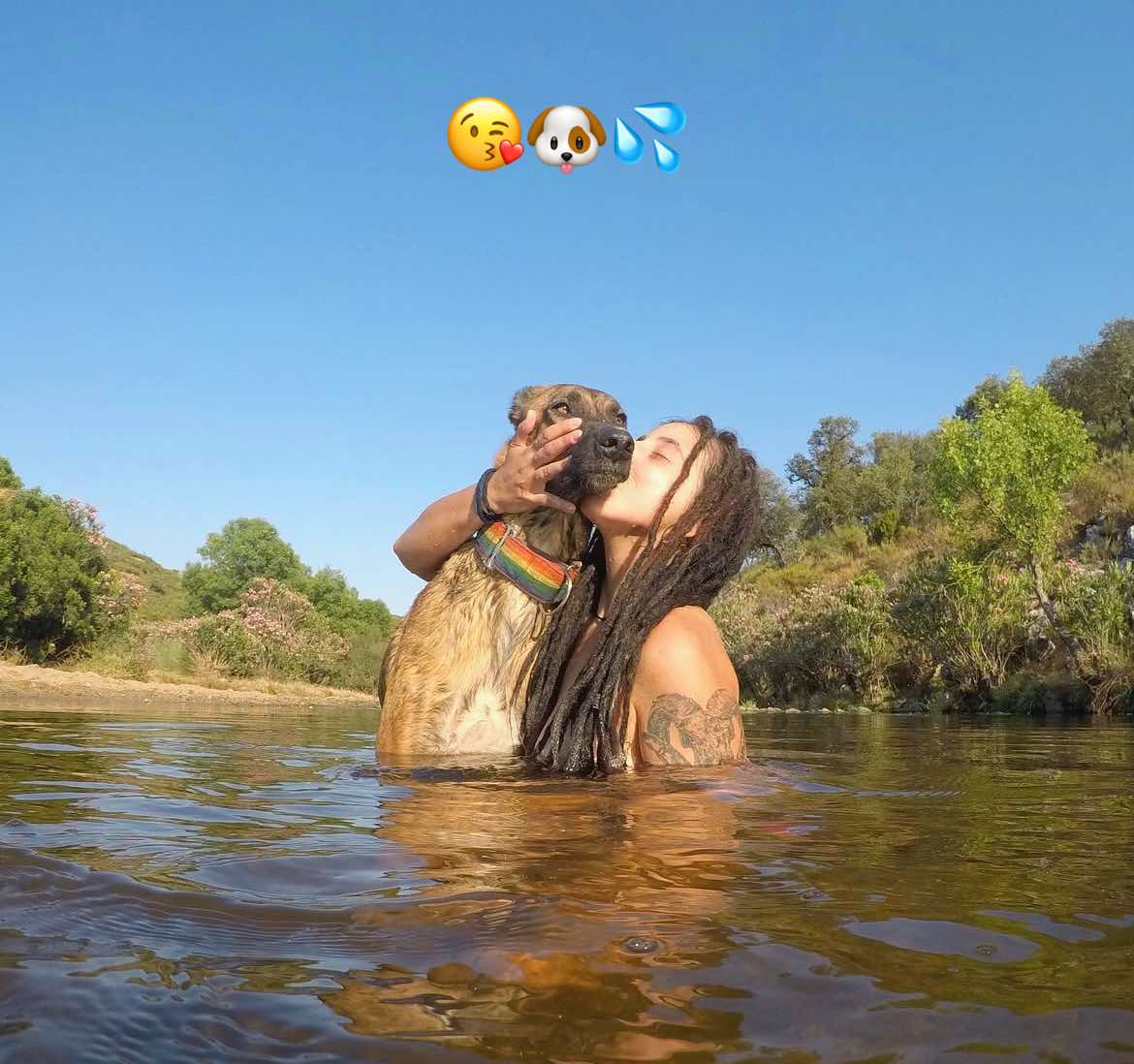 @dogmom.zoo