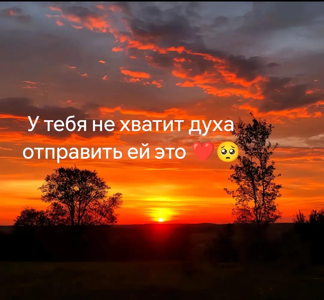 @dimasik26