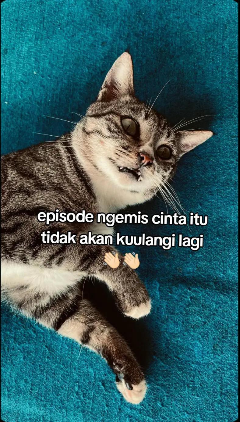 @Khairul🕷️