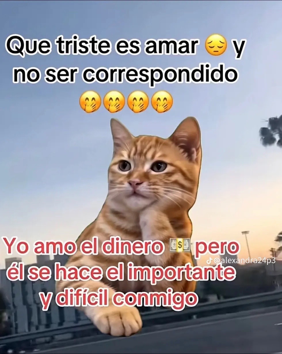 @Salgado.E🇭🇳