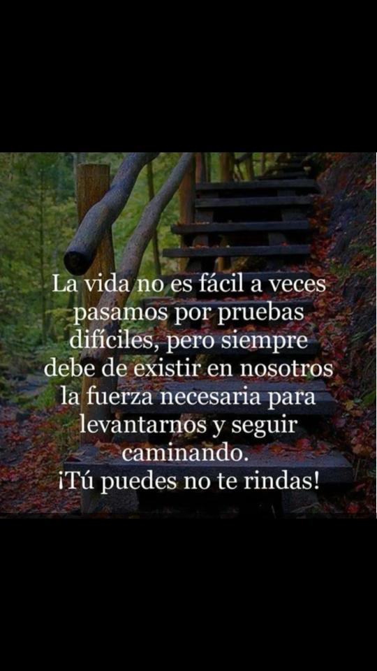 @Reflexiones de la vida