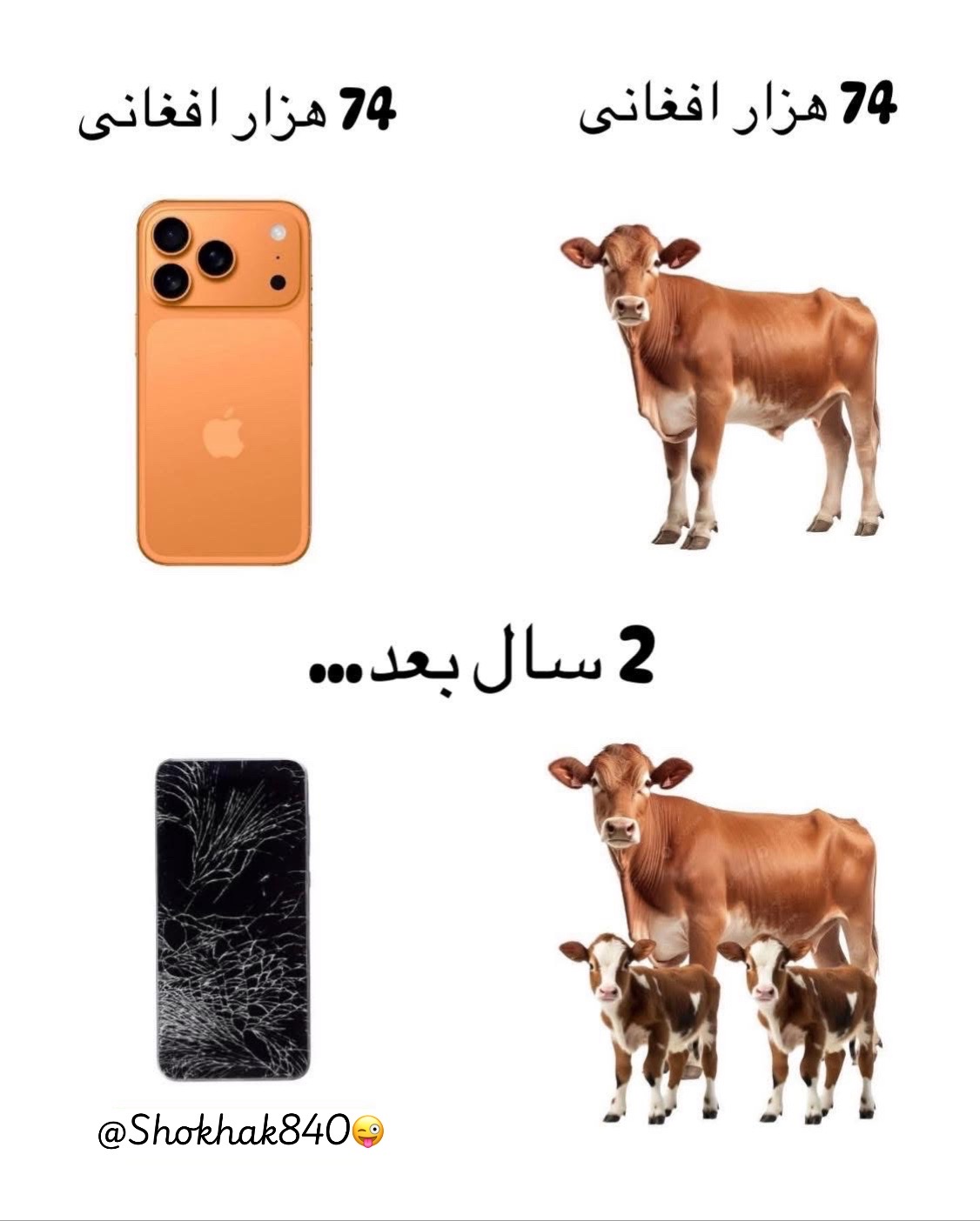 @شوخک Shokhak