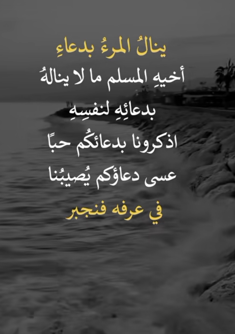 @Mahboul