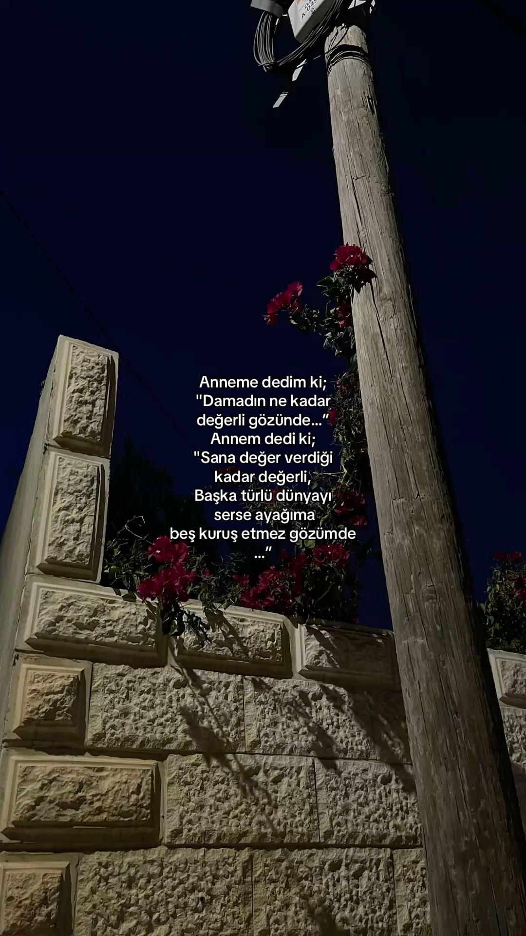 @𝓔𝓵𝓲𝓯