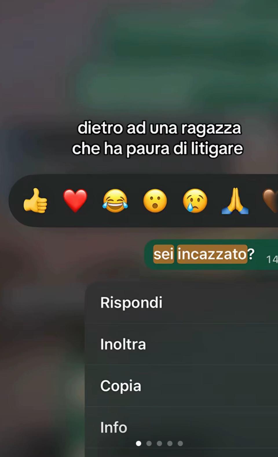 @Giovanna Pepe🐍