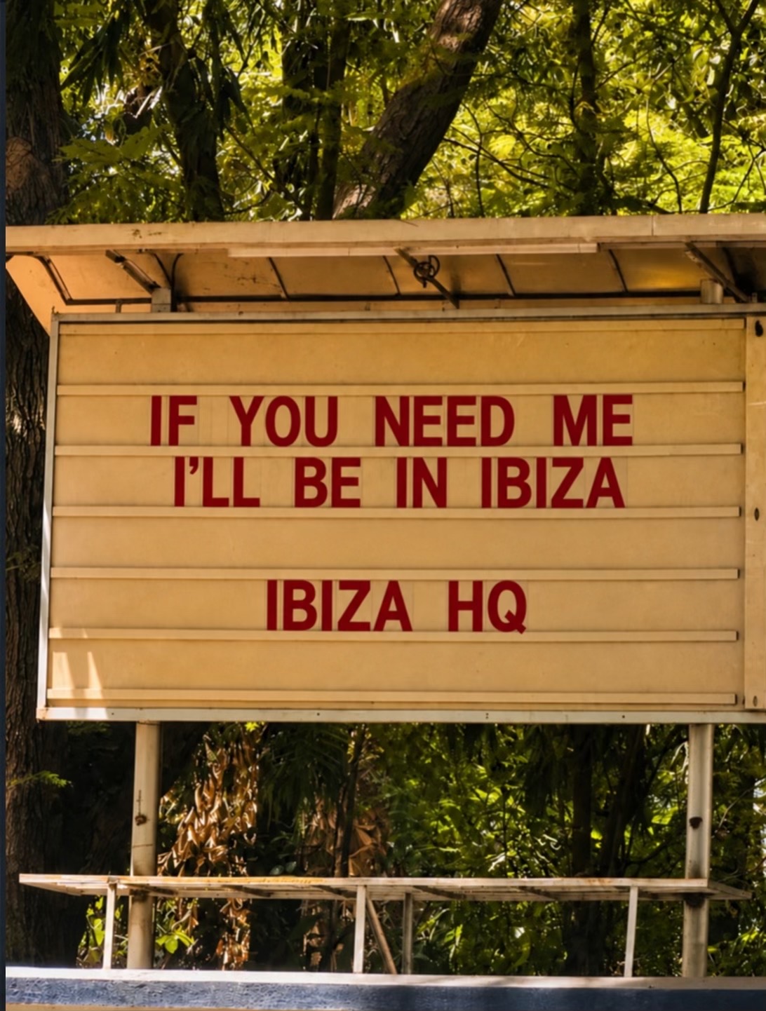 @ibizahq