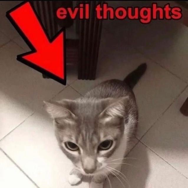 @𝑭𝒖𝒘𝒂 ฅ^>⩊<^ฅ