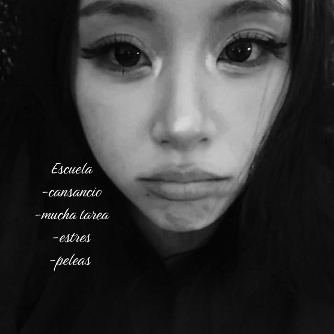 @🫐 ୨୧𐙚 레나꒱ྀི౨ ̑̑ೃ࿔🫐