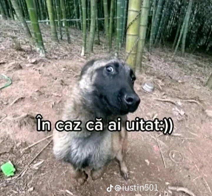 @S9 Hype