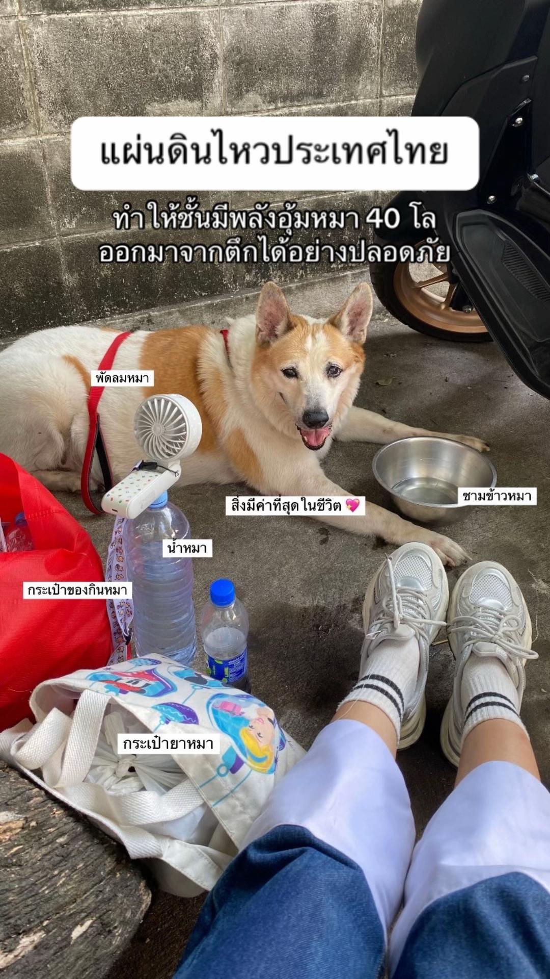 @ชิใช้เพราะชิซื้อแล้ว