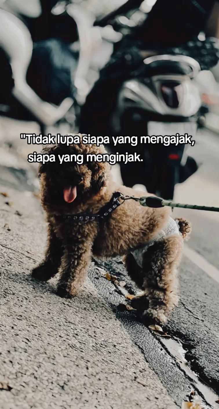 @323⚡