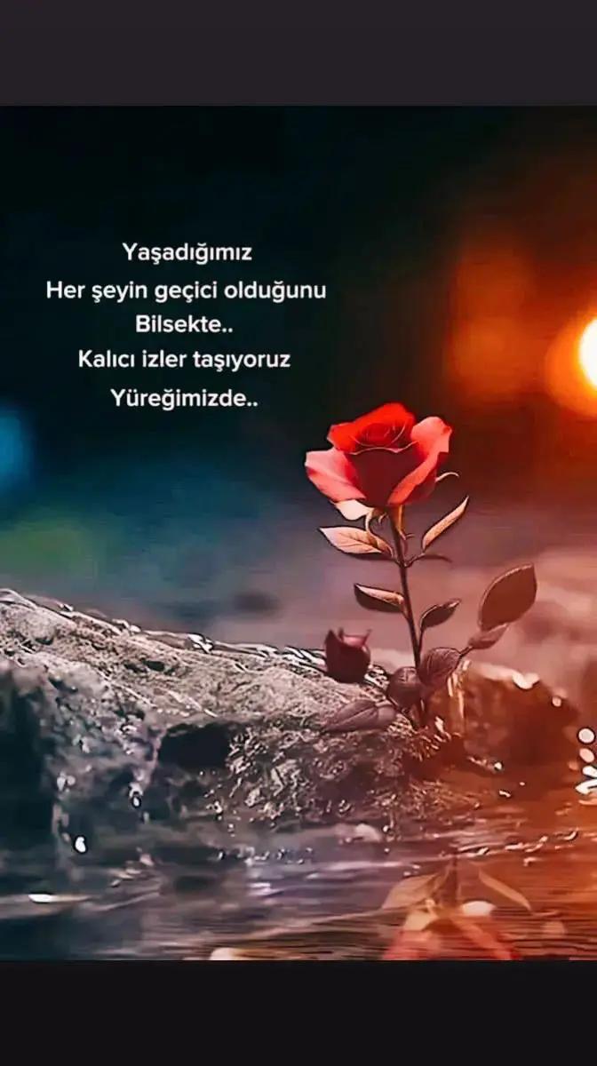 @Yorgun_01