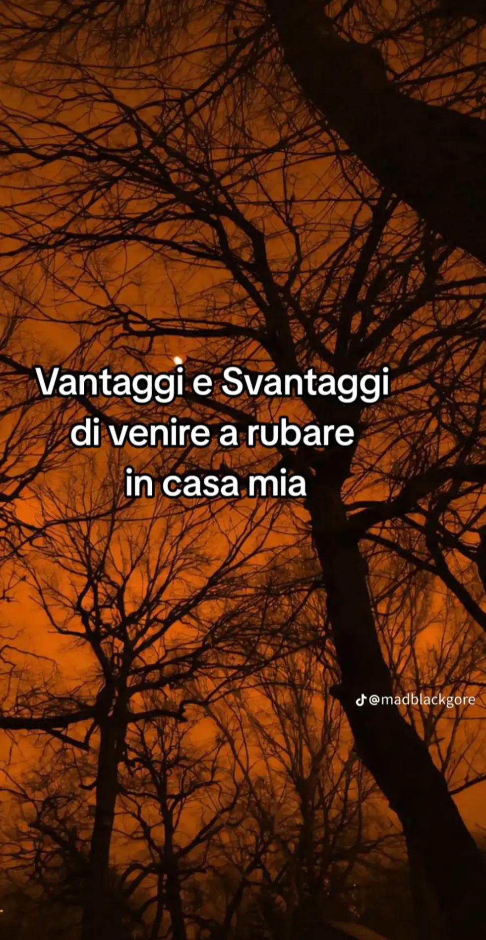 @🌸STEFANIA🌸