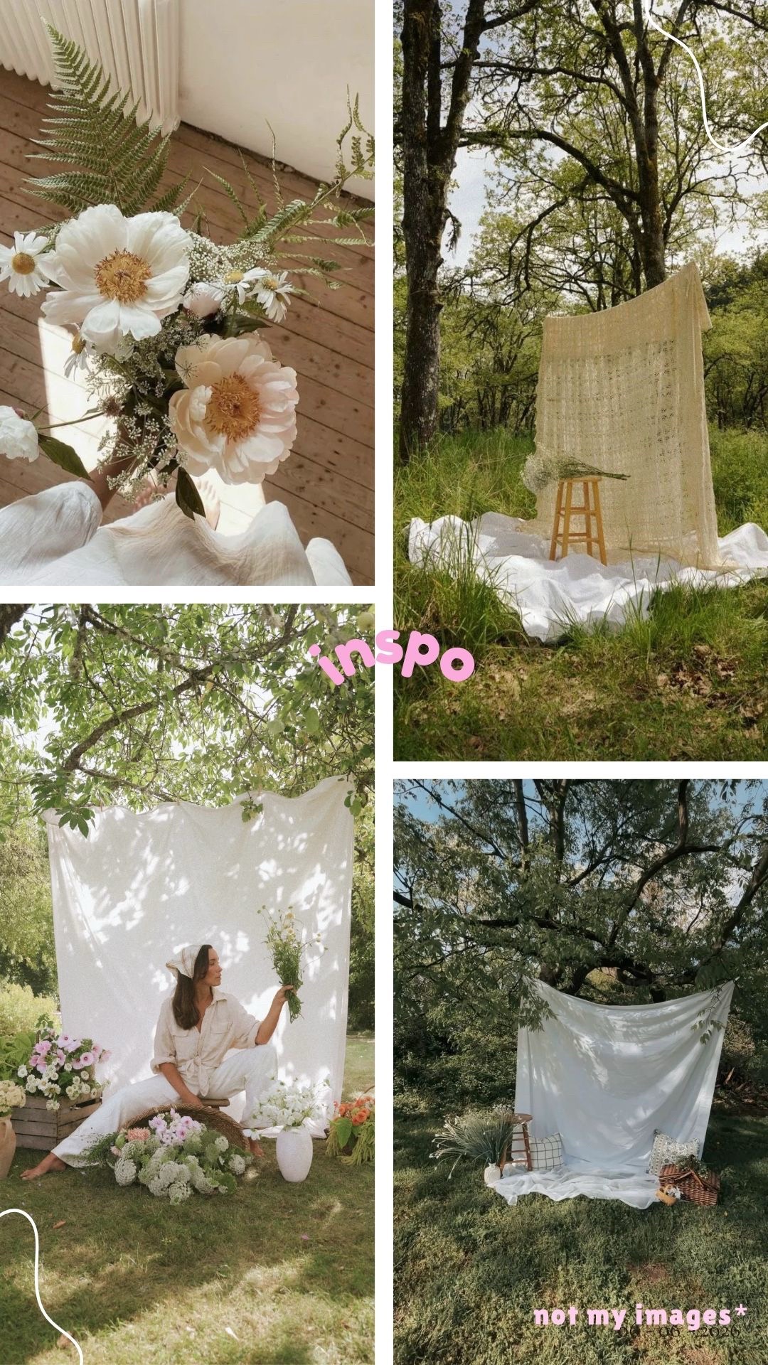 @maggie lynn | IN photographer