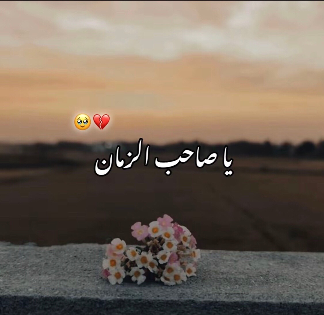 @✦ ابنِ عباس ✦