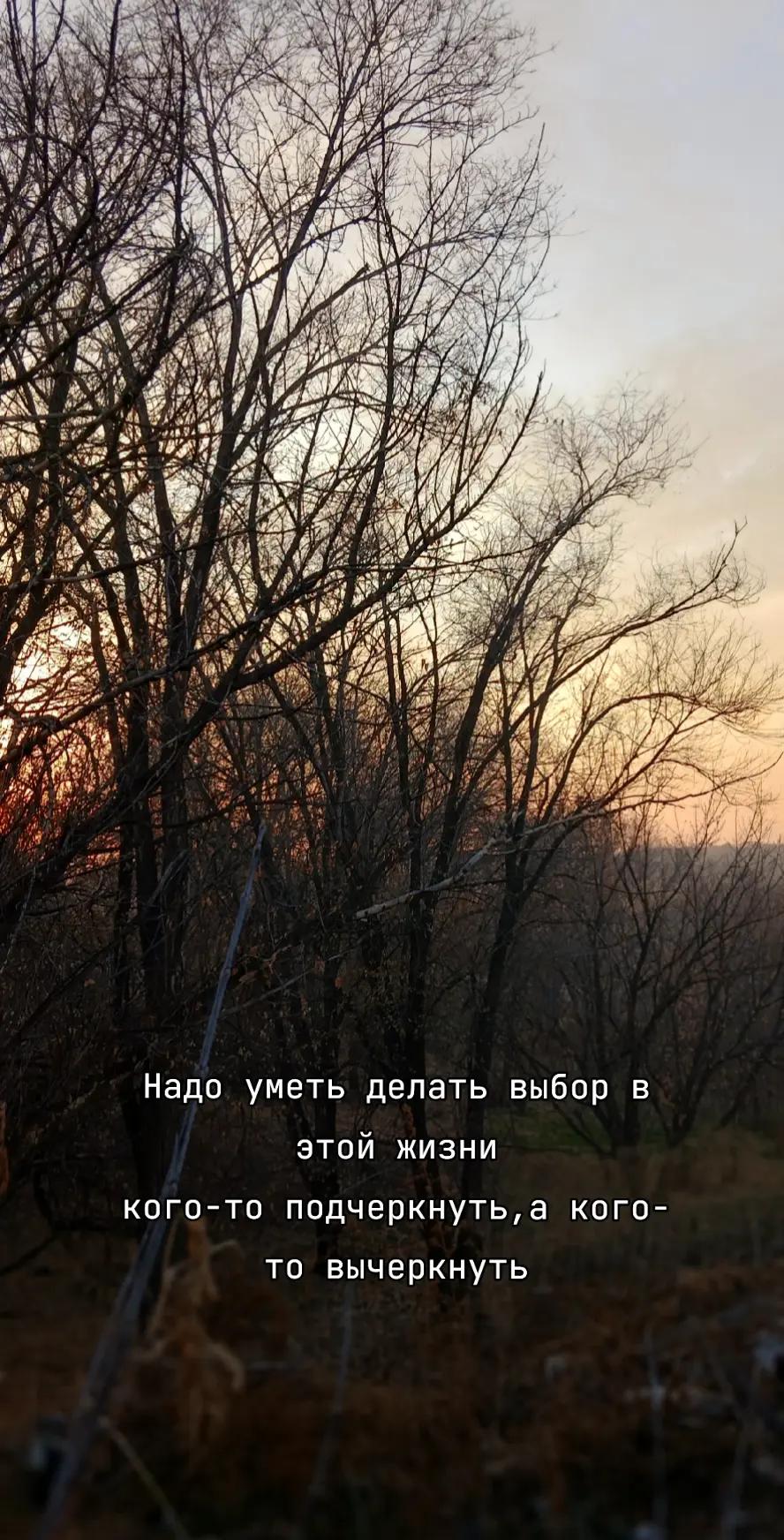 @Al1shkA