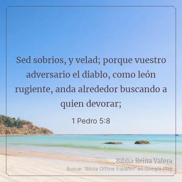 @Maikel Mendez