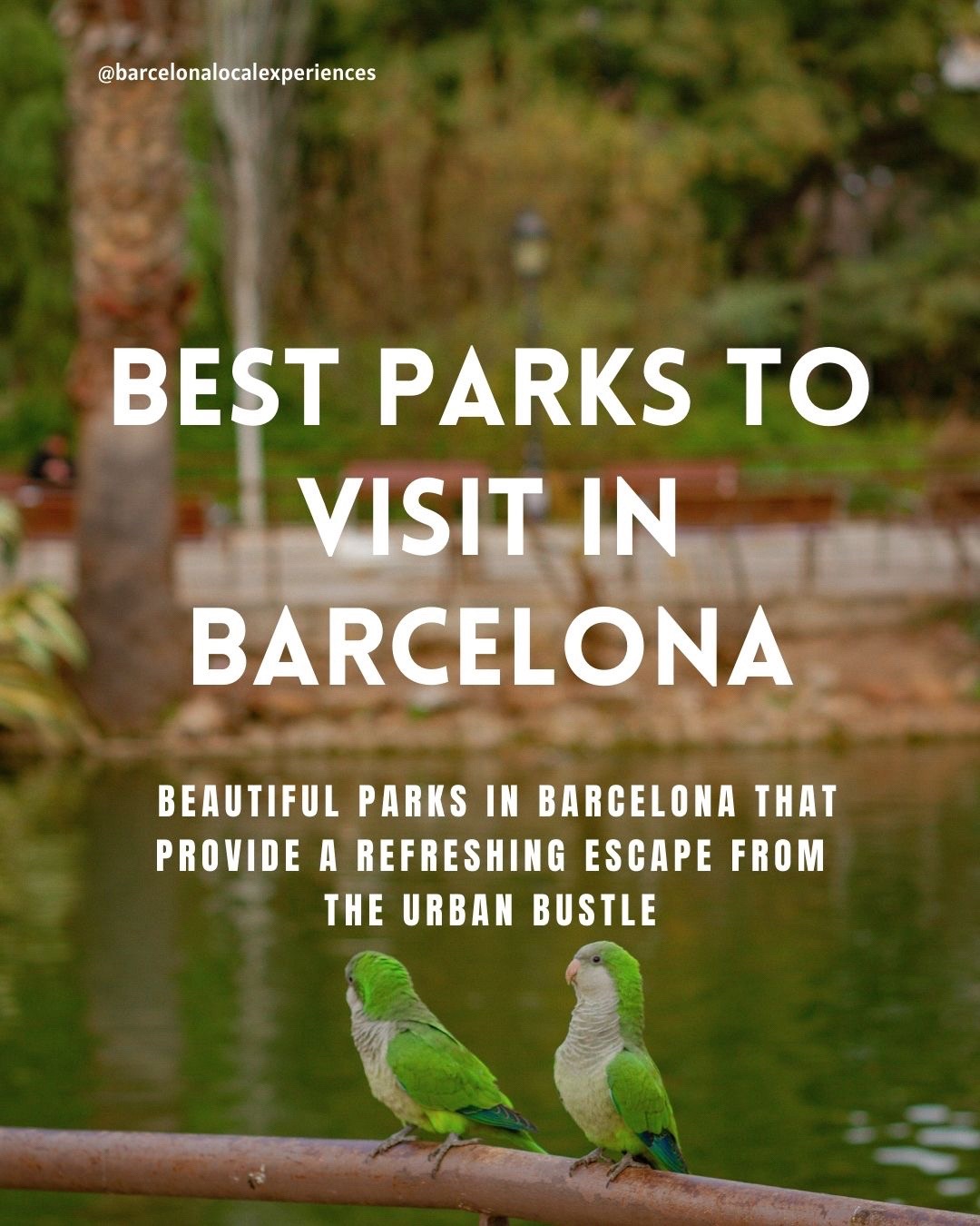 @Barcelona Local Experiences