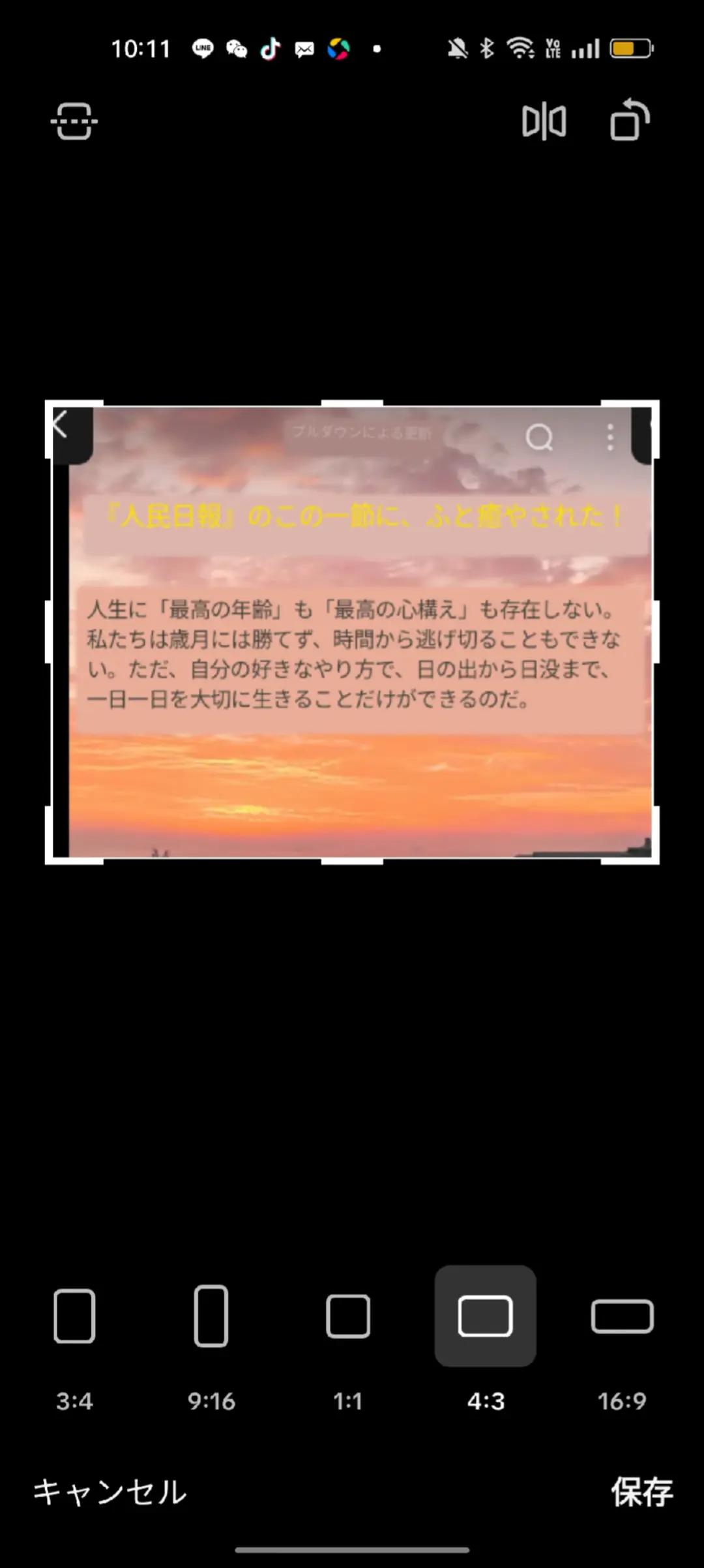 @药膳园
