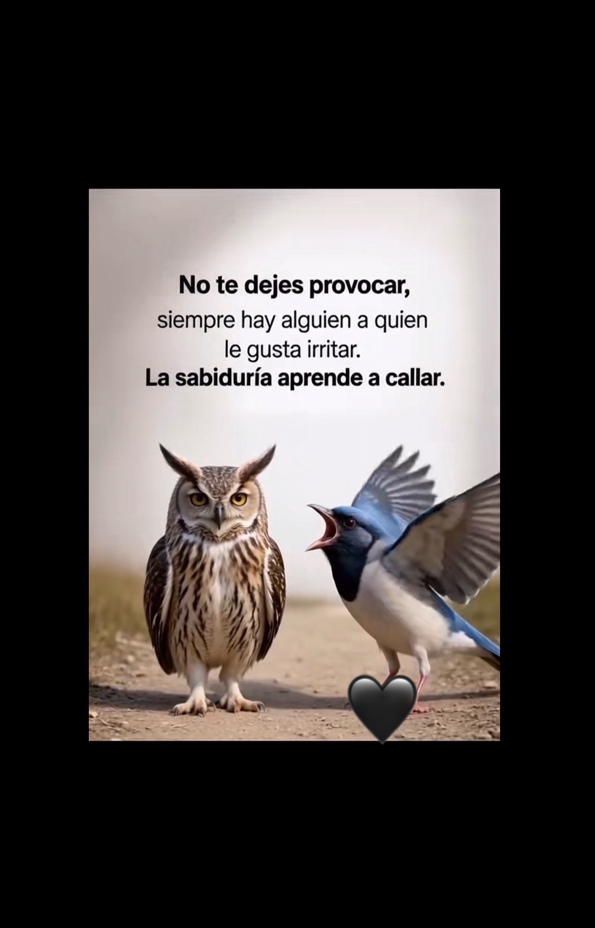 @Irma Hern&aacute;ndez