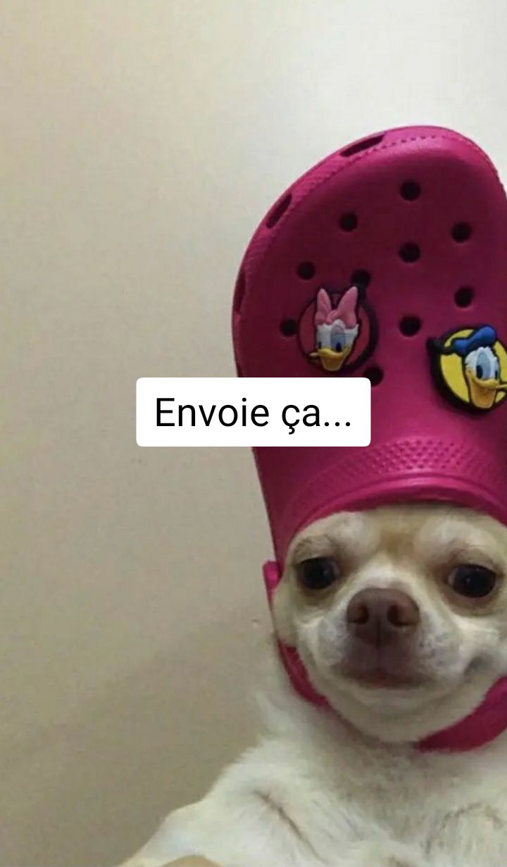 @𝓐𝓵𝓲𝓼𝓸𝓷ᥫᩣ
