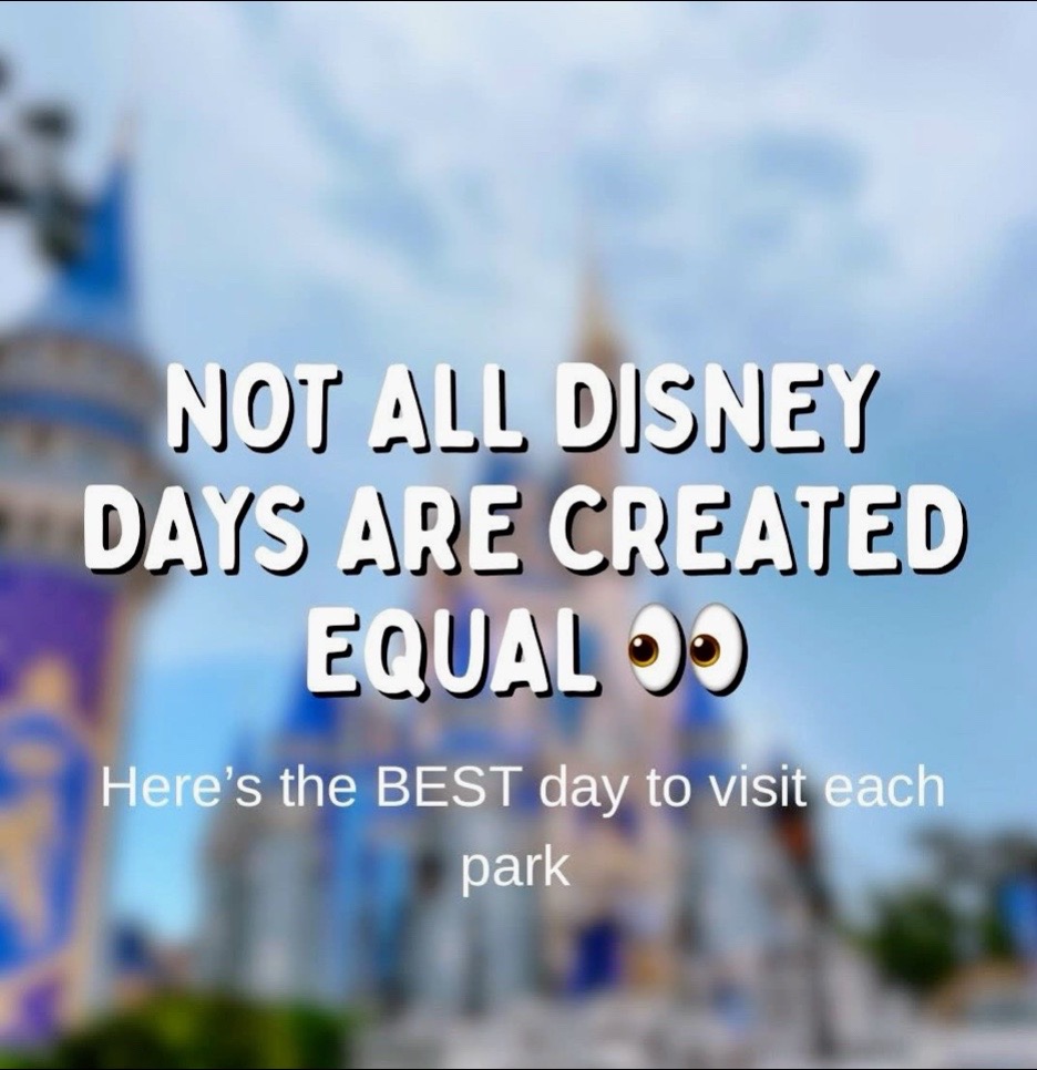 @Disney Trip&Tips With Tiny