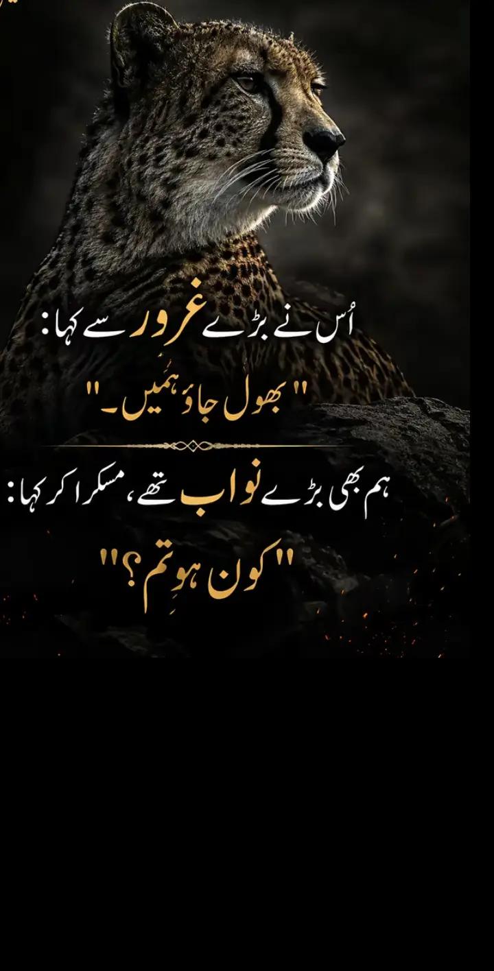 @🖤👍👑(زین)👑 (بادشاہ )👑👍🖤